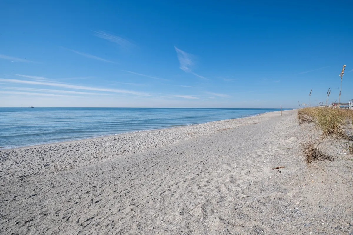A pristine sandy beach stretches alongside calm ocean waters, framed by a vibrant blue sky. The shoreline invites leisurely walks, sunbathing, and relaxing moments, while the open space and gentle surf evoke the perfect setting for dog-friendly strolls and playtime near the water.